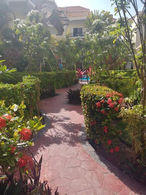 Dominican Art 2 Bedroom El Cortecito Apartment *
