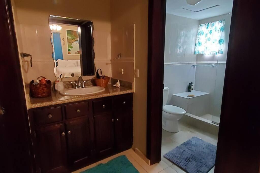 Dominican Art 2 Bedroom El Cortecito Apartment Punta Cana