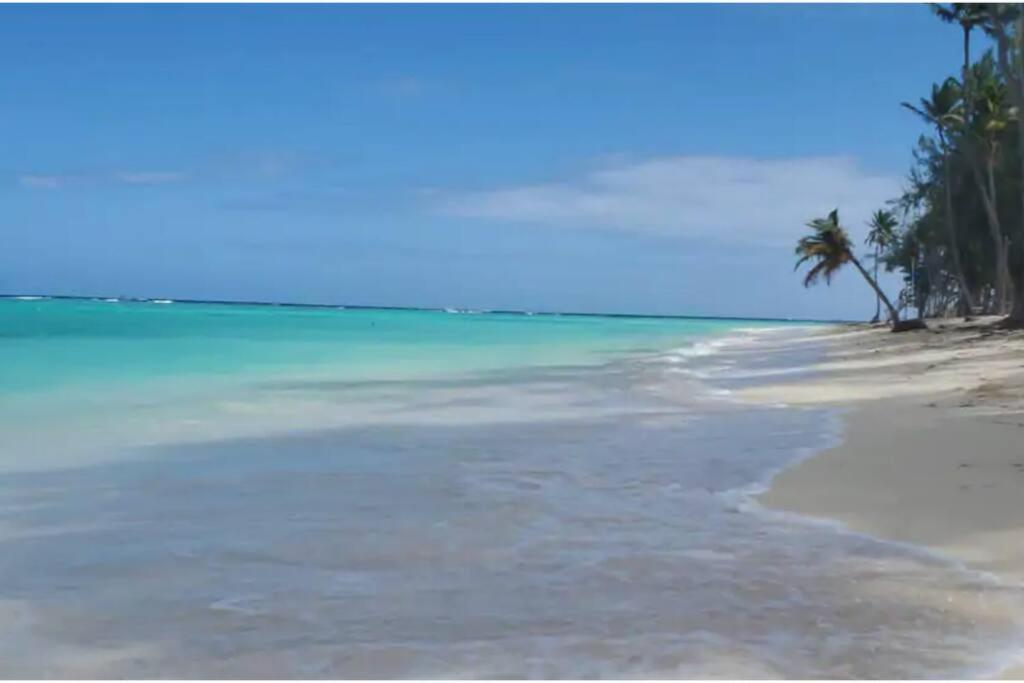 Apartment Dominican Art 2 Bedroom El Cortecito *
