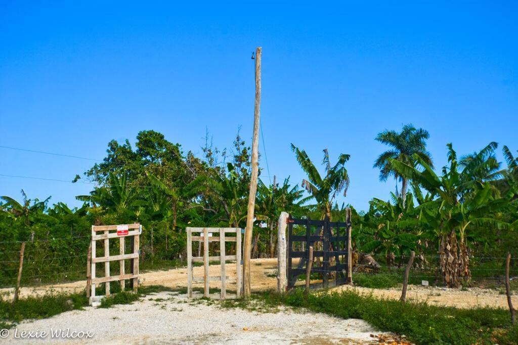 Holiday home Happy Casa Macao Punta Cana