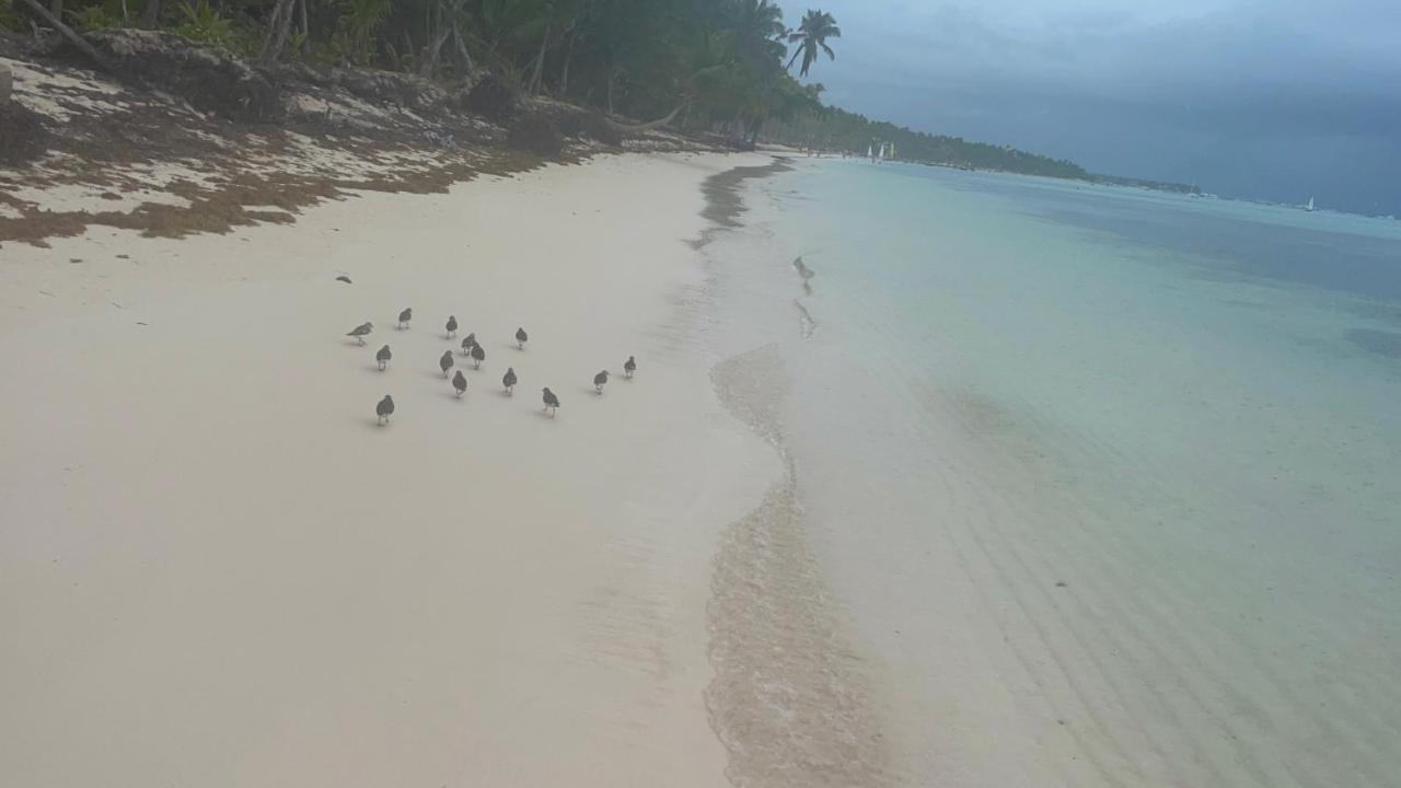Yonah Comfort Punta Cana, Shared Punta Cana