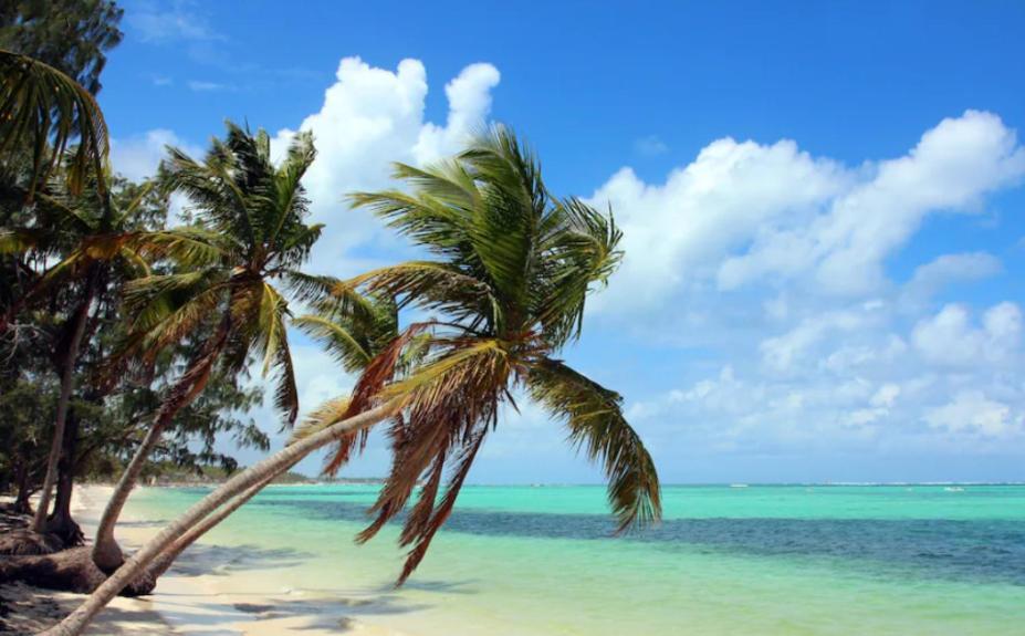 El Dorado 302a * Punta Cana