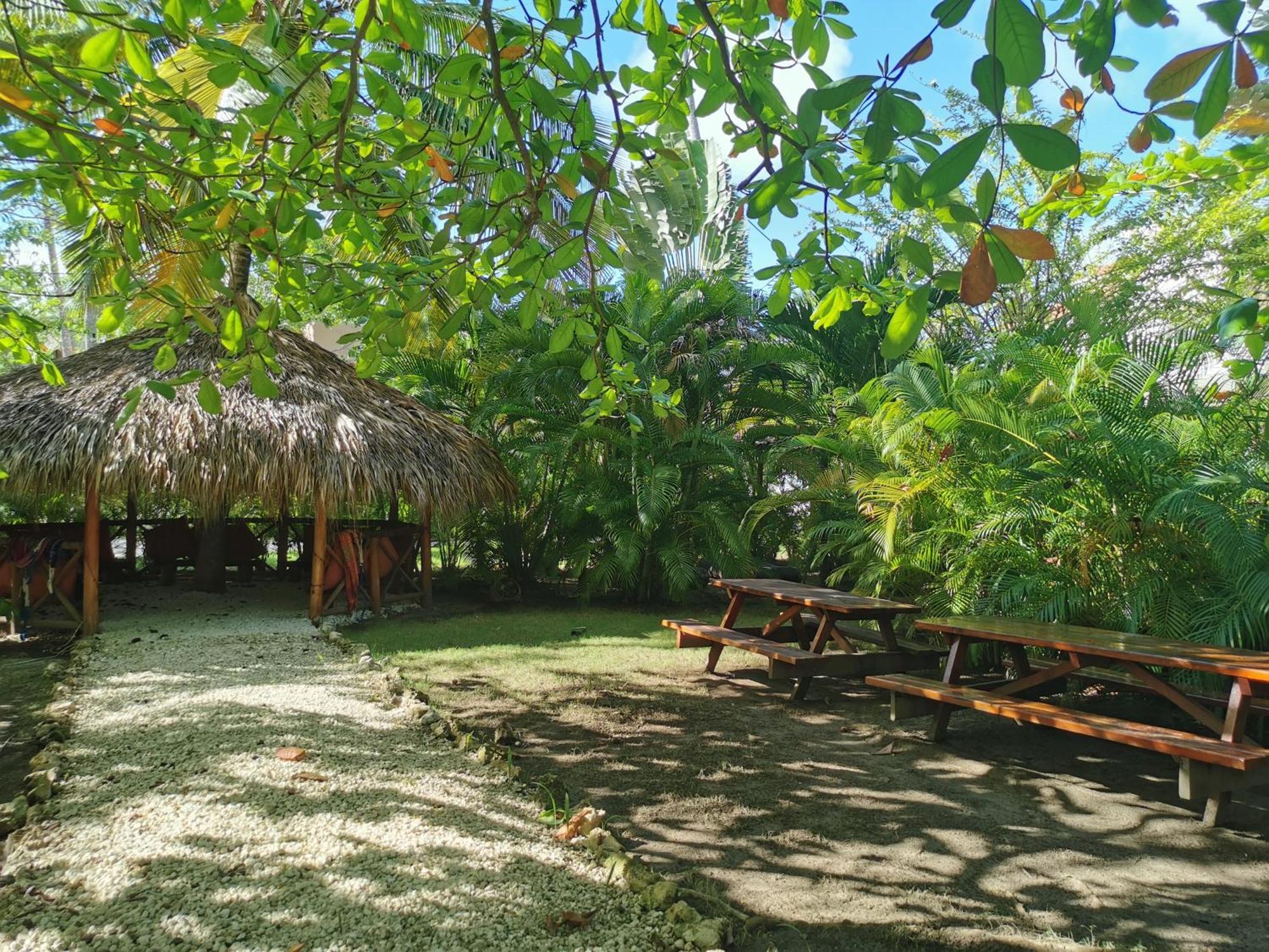 Hotel Deluxe Villas Bavaro & - Price For Long Term Vacation Punta Cana