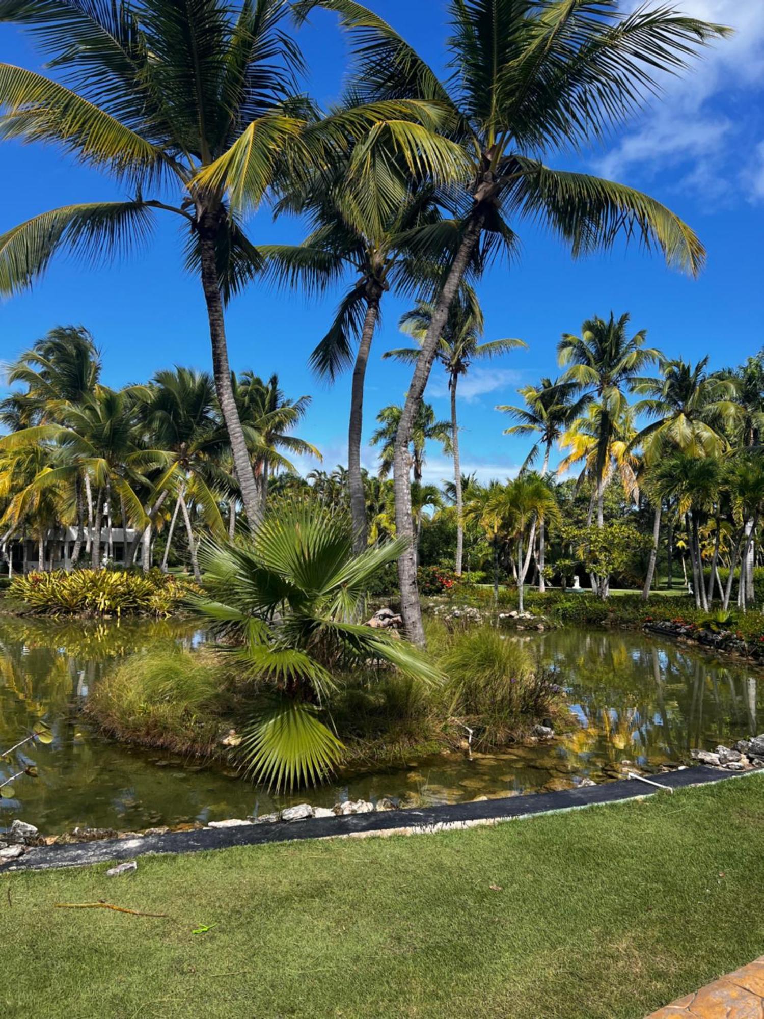 Cocotal Luxury On The Golf Course Apartment Punta Cana