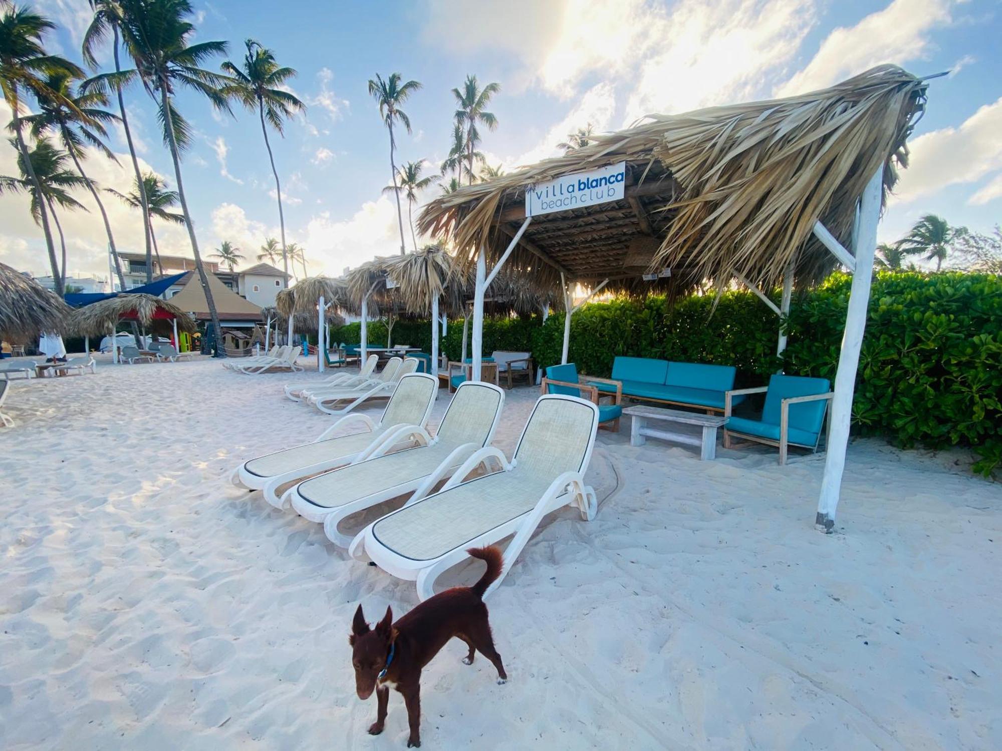 Bavaro Corales - Ducassi - Sol Caribe
