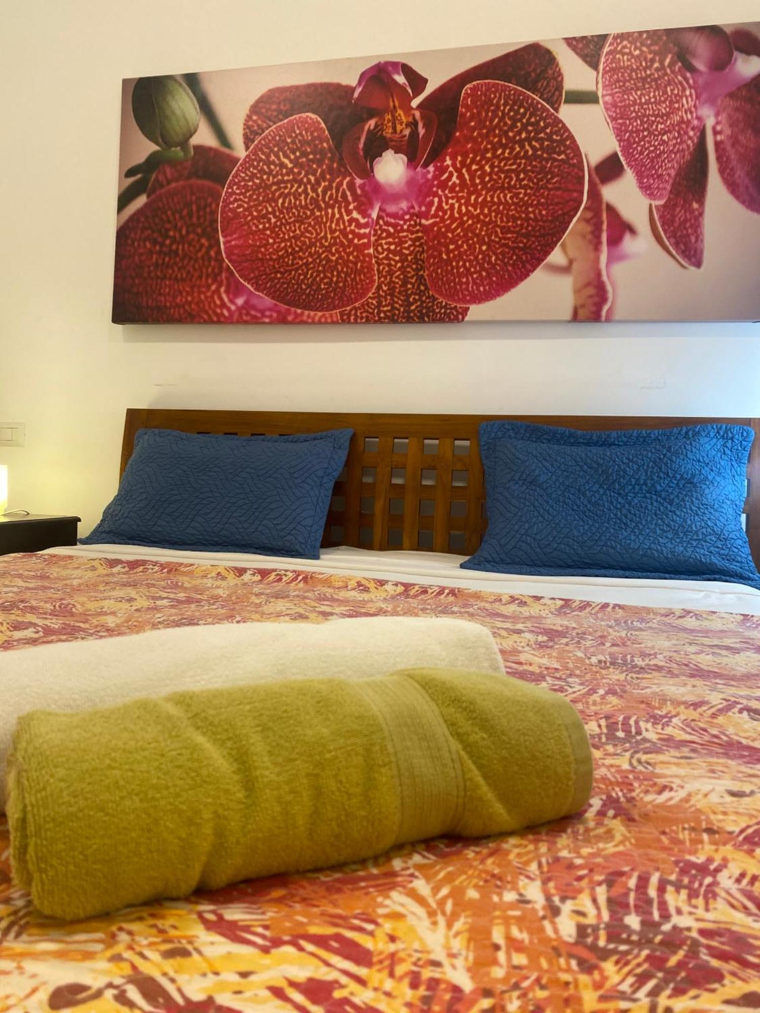 Bavaro Appartahotel Club * Punta Cana