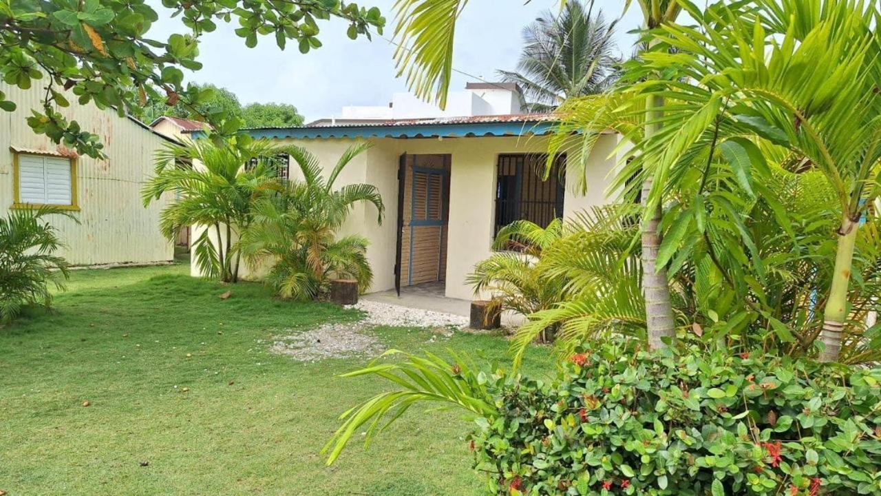 El Conde De Rosa * Punta Cana