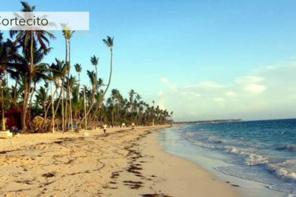 Apartment Cozy And Modern With Pool And Golf View Punta Cana
