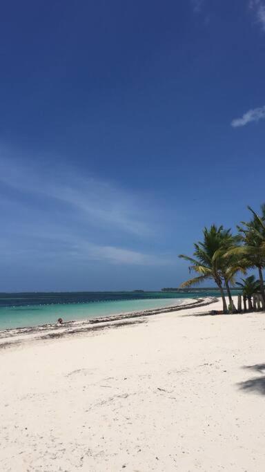 Luxury With Infinity Pool * Punta Cana