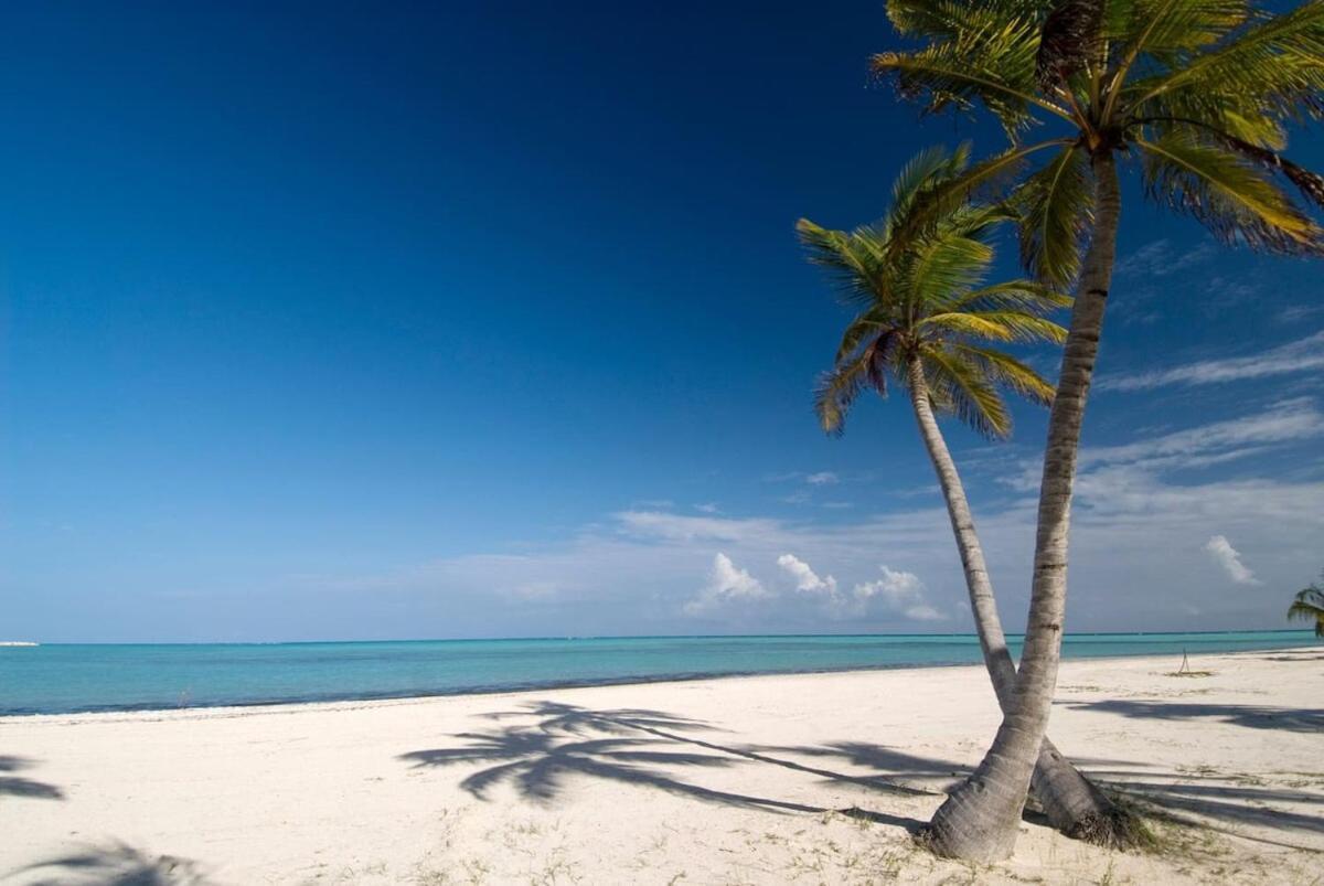 Apartment Hot Tub, Pool, Walk To Fun, Beach, Dining, Shops Punta Cana