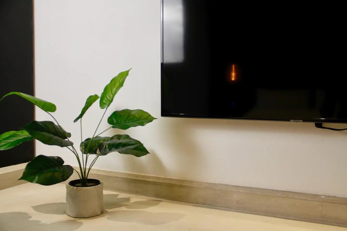 Apartment 303