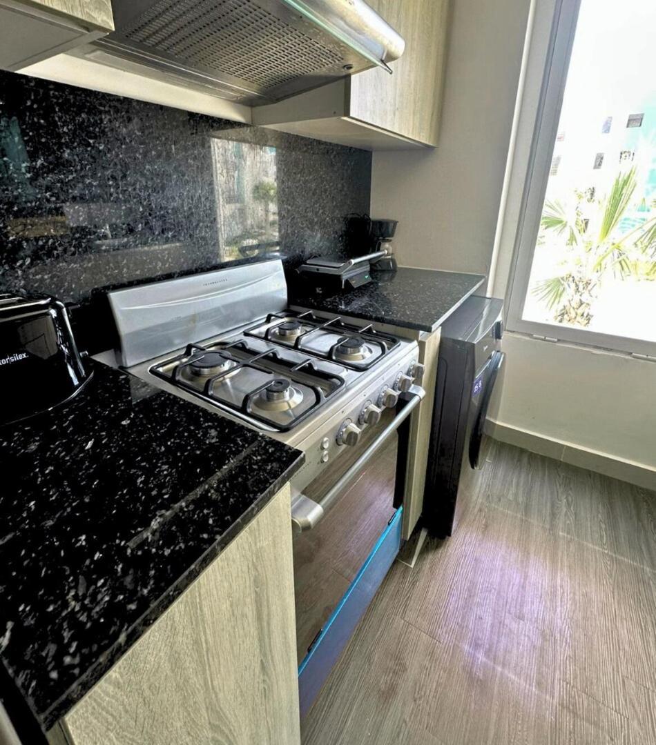 Encanto Moderno En Apartment