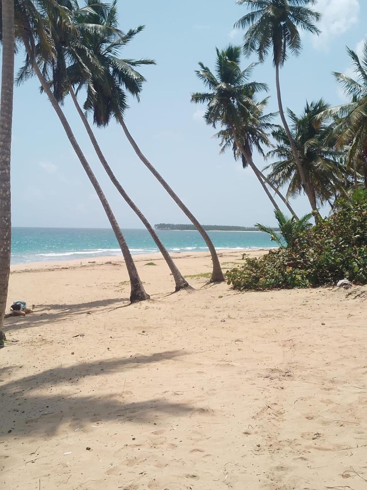 Life Punta Cana