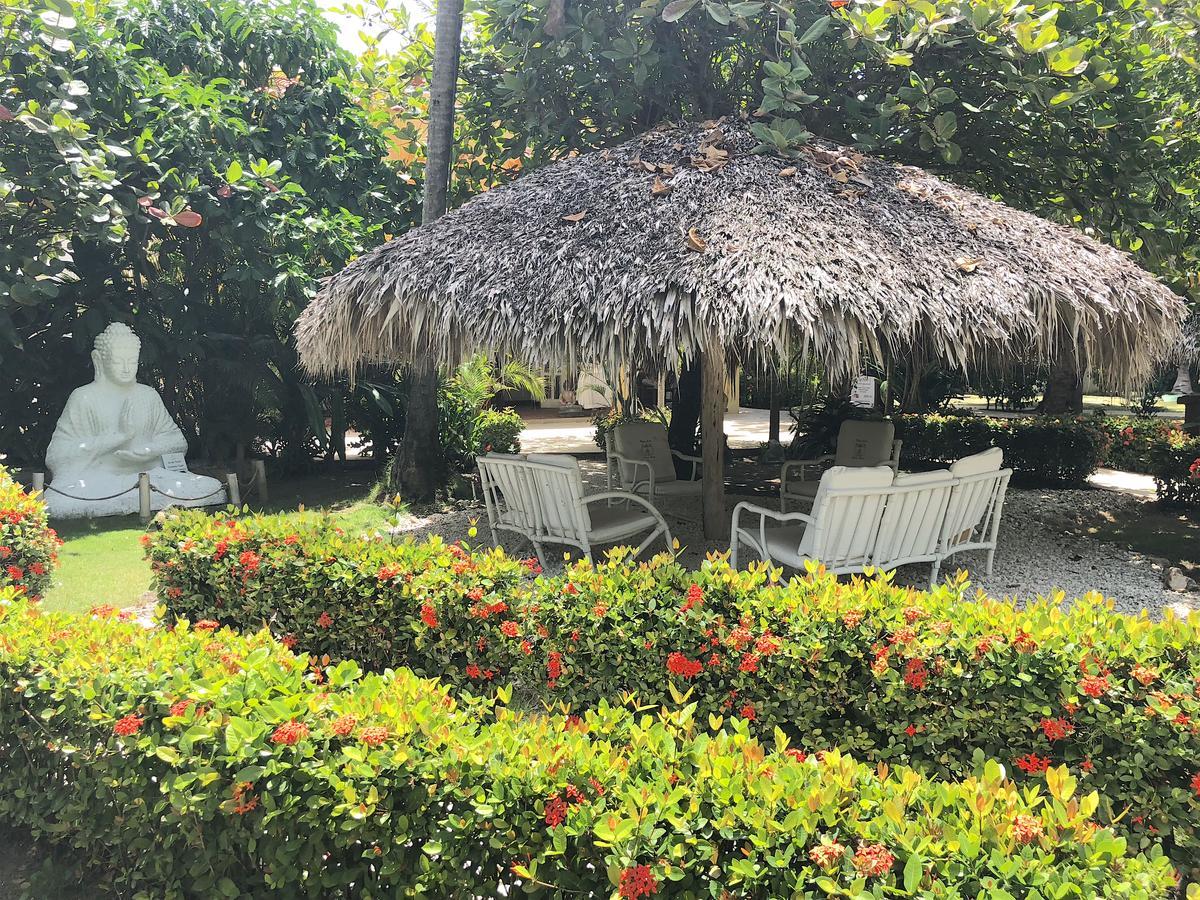 Hotel Terrazas Vip Pool Club&spa Punta Cana