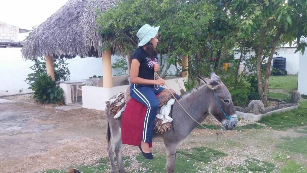 El Conde De Rosa Punta Cana