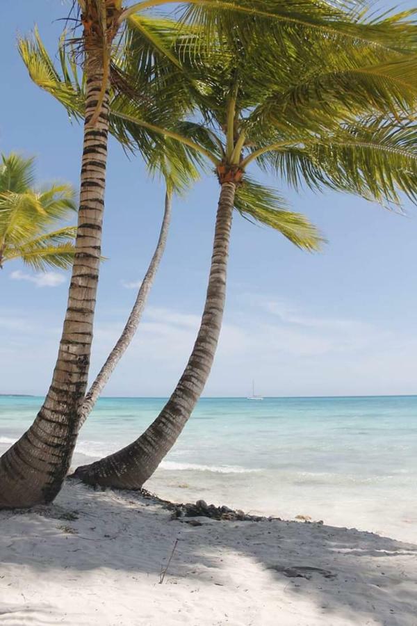 Herard Share Homestay Punta Cana