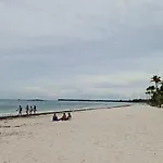 The Rose In Paradise I