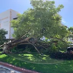 Tranquilidad En Cap Cana, Acogedor Apartamento Residencial