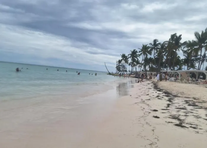 Apto Estudio En Punta Cana, Vista A La Pisicina