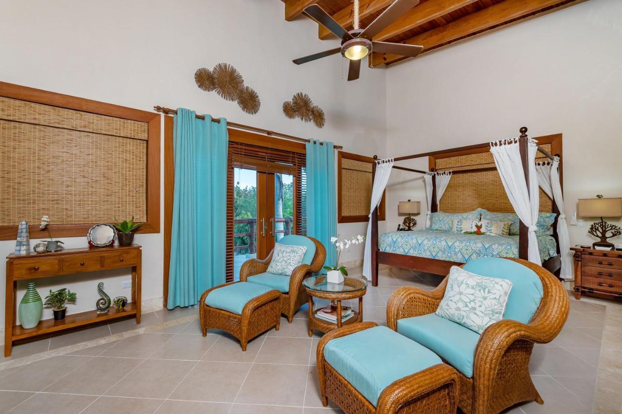 Villa Private With Incredible Pool, Maid, Jacuzzi - Cap Cana