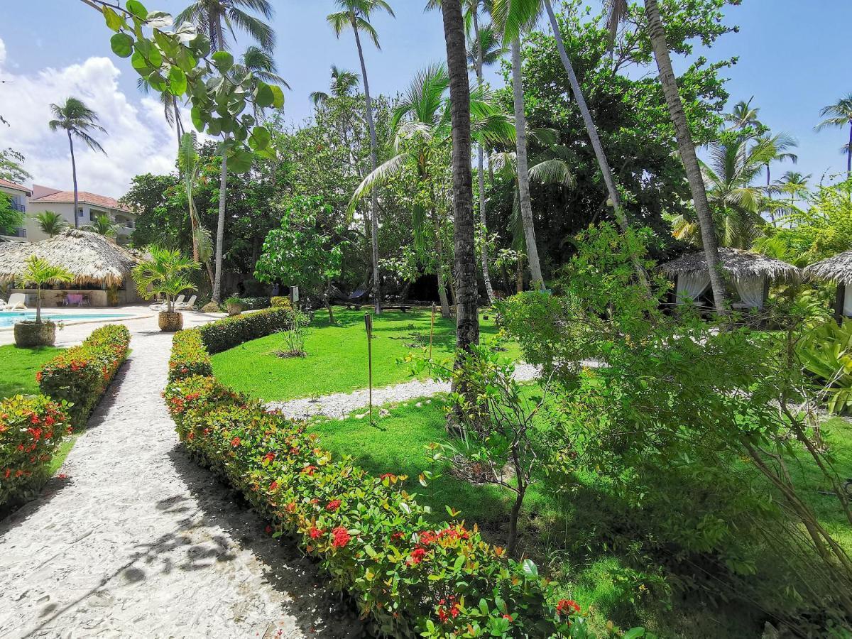 Acogedor Estudio En La Playa Bavaro Para 4 Personas Wifi *