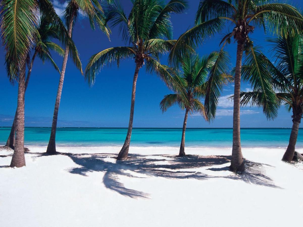 Apartment Elite Aptos At Cap Cana Punta Cana