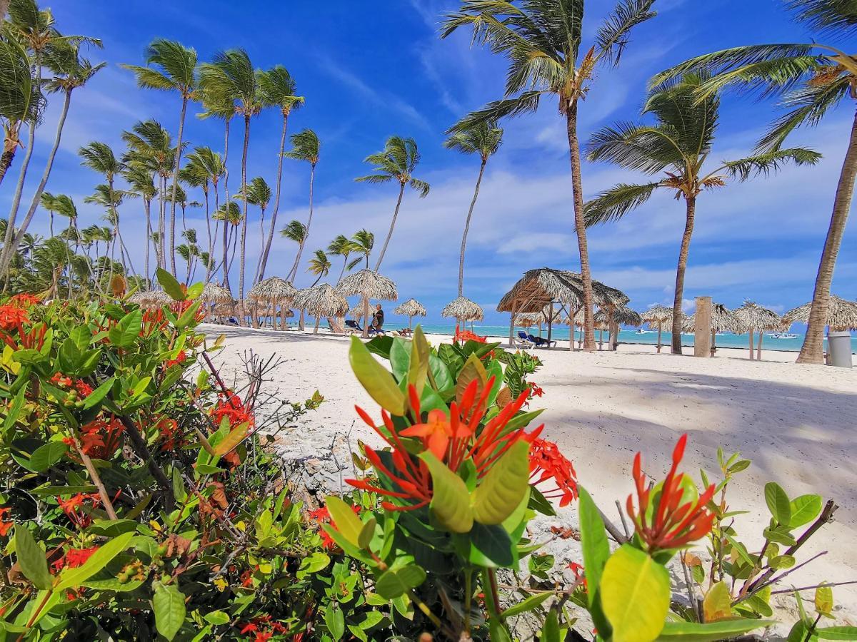 Hermosa Frente Al Mar En Playa Bávaro 10 Huéspedes Wifi Bbq Villa Punta Cana