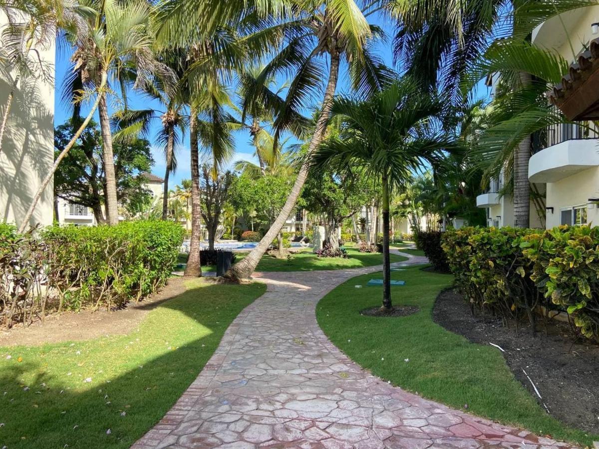Apartment 2 Rooms, 4 Beds, Pool, 5min White *