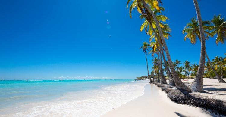 Elite Aptos At Cap Cana Apartment
