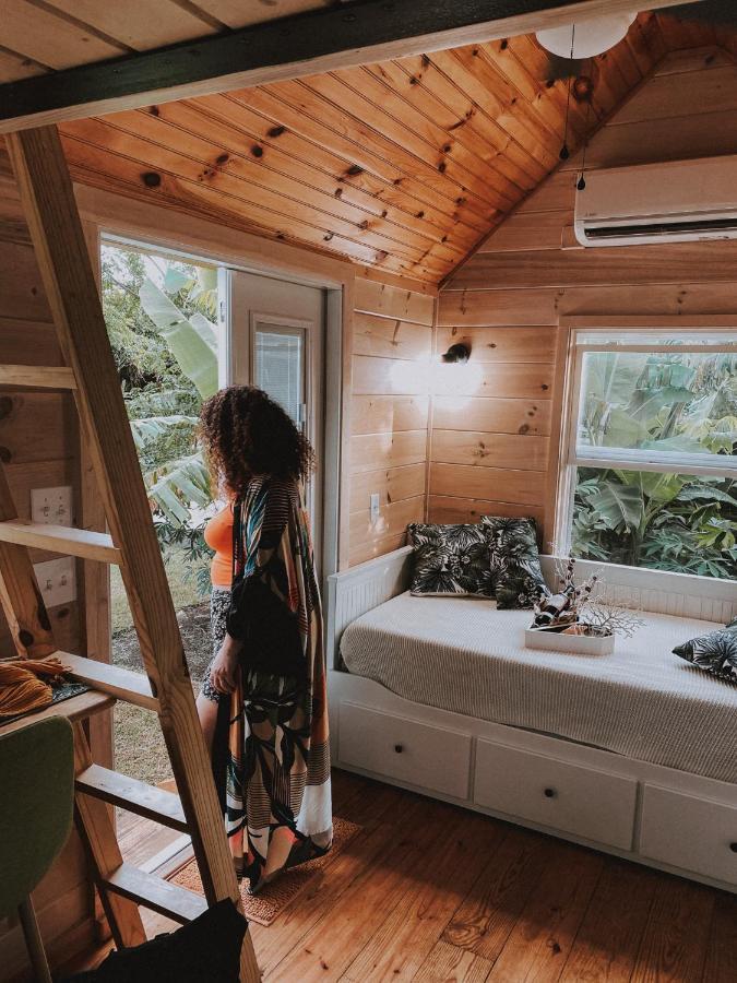 New!! Tropical Tiny Sanctuary-tiny Near *
