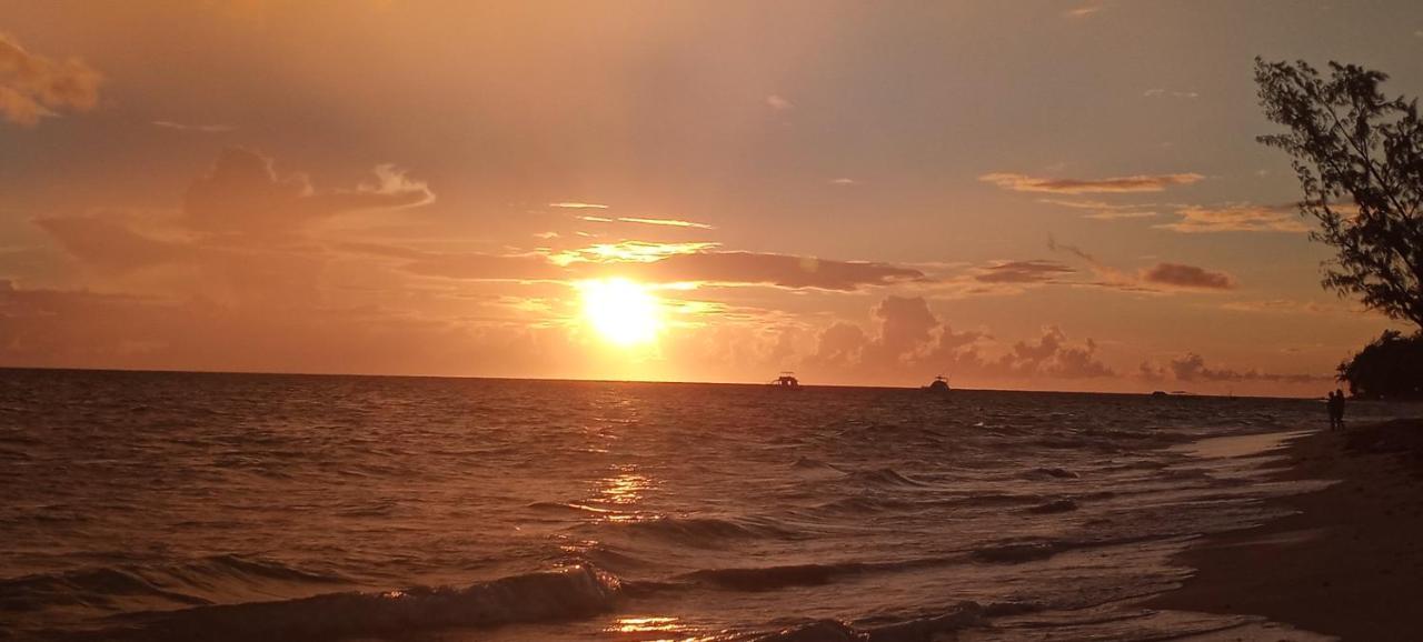Guest house Clothing Optional All Male Carribean Nude Escape *