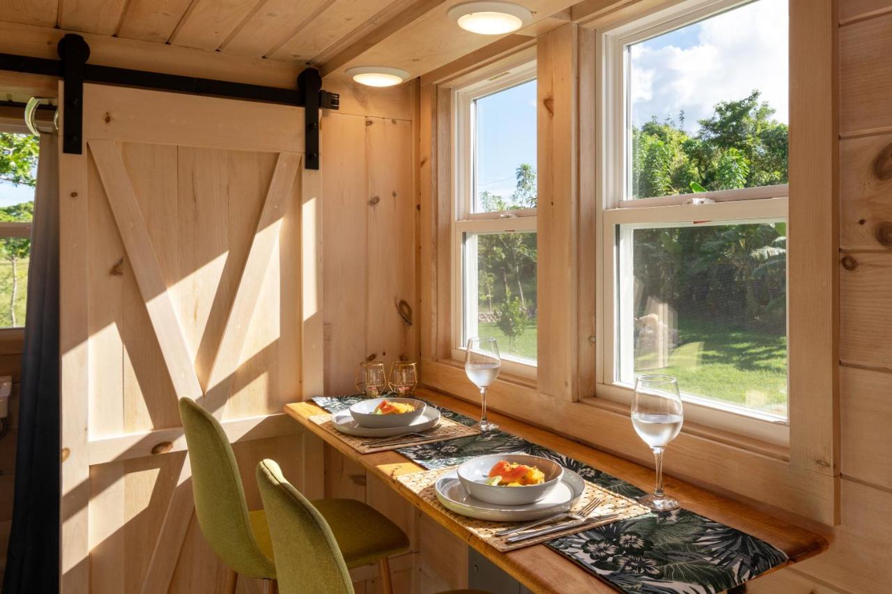 New!! Tropical Tiny Sanctuary-tiny Near * Punta Cana