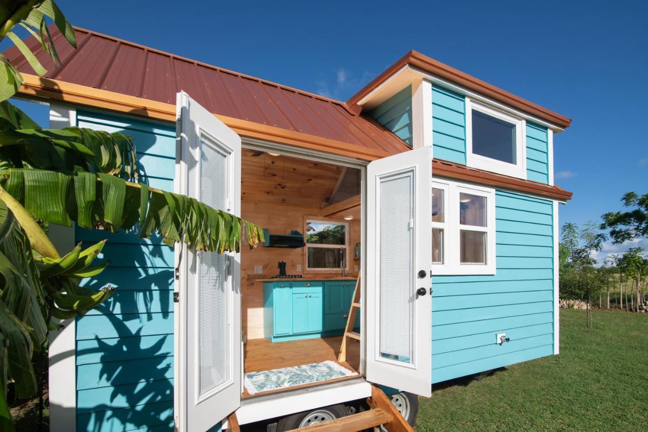 New!! Tropical Tiny Sanctuary-tiny Near * Punta Cana