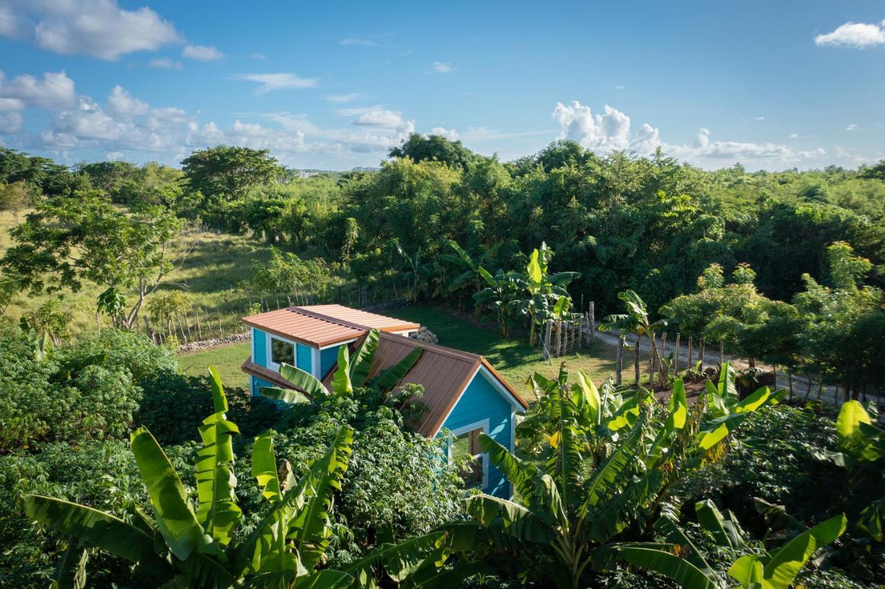 Holiday home New!! Tropical Tiny Sanctuary-tiny Near