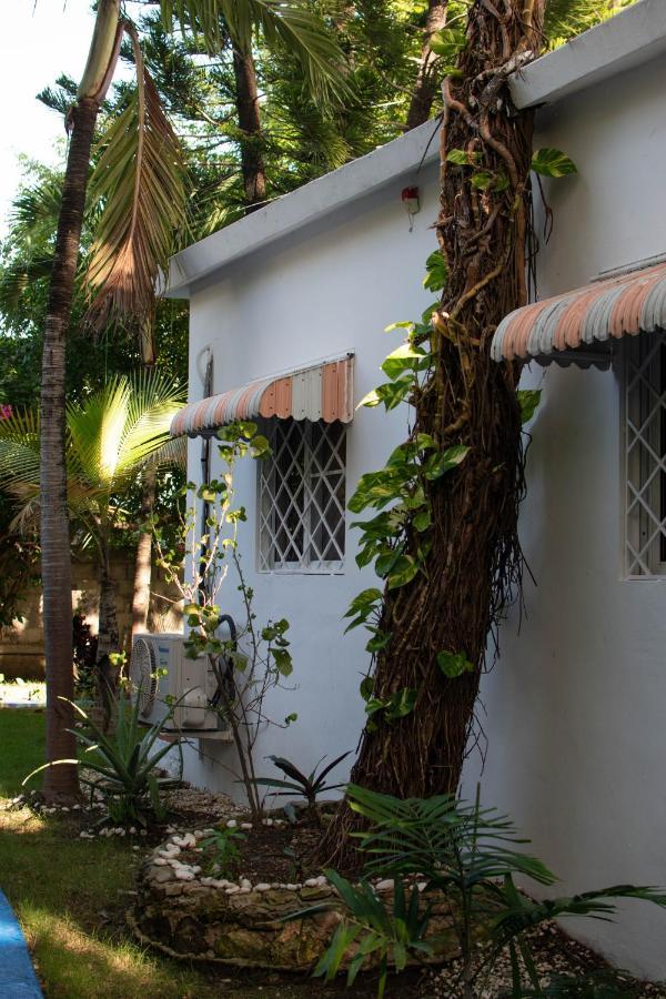 Jardin Esmeralda & Punta Cana