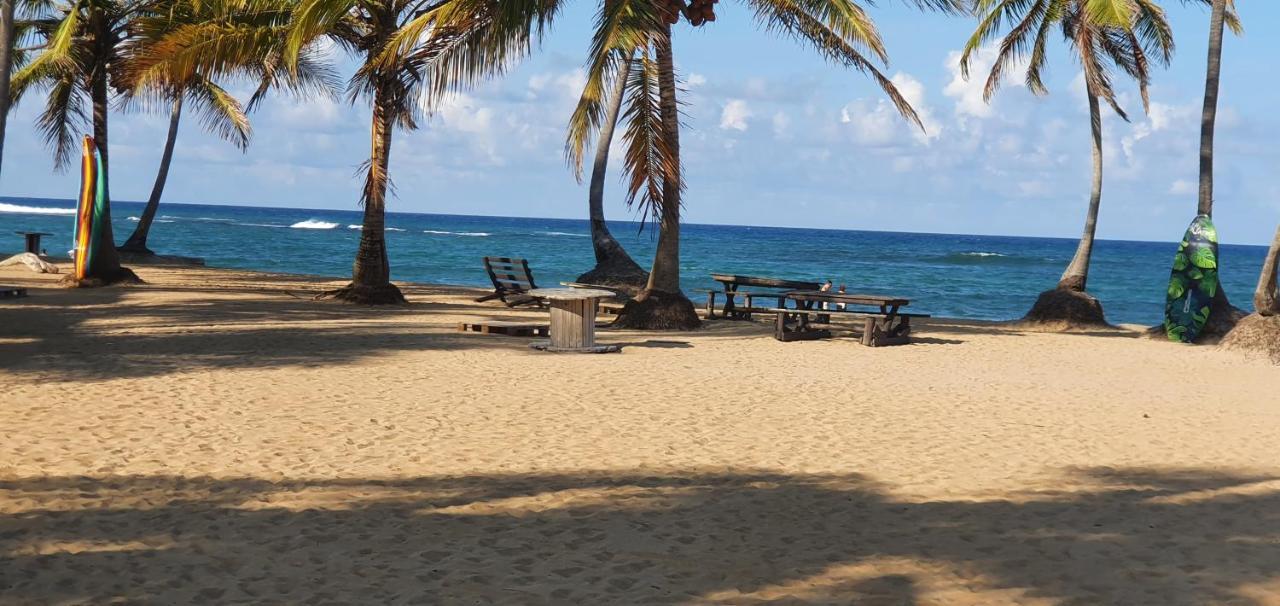 Lodge Puntacana Lavacama Costa Arrecife By Aa Crypto Group