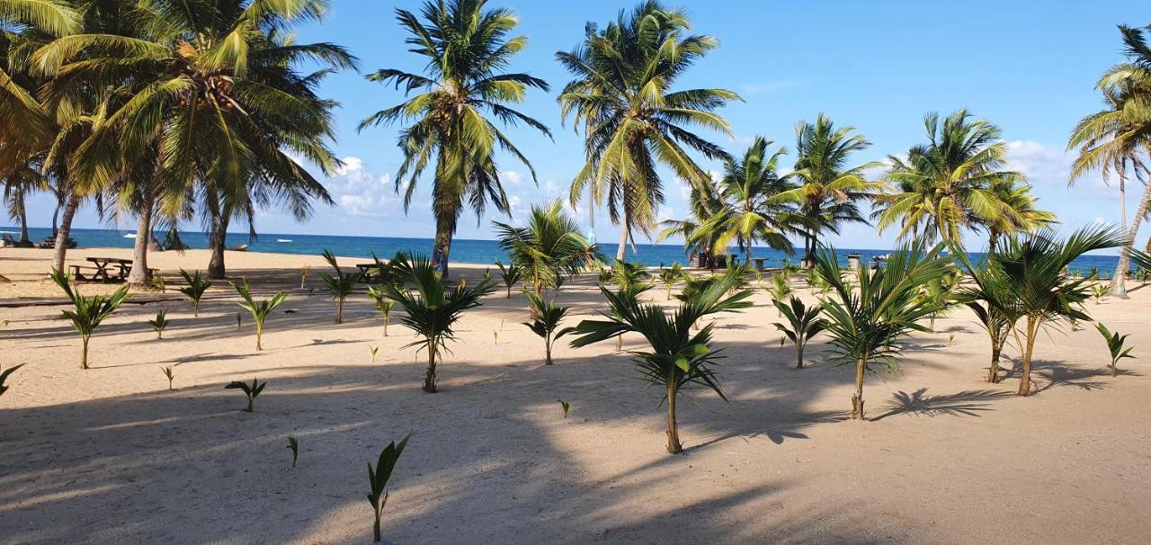 Puntacana Lavacama Costa Arrecife By Aa Crypto Group * Punta Cana