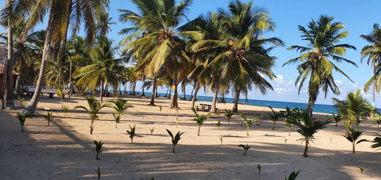 Puntacana Lavacama Costa Arrecife By Aa Crypto Group