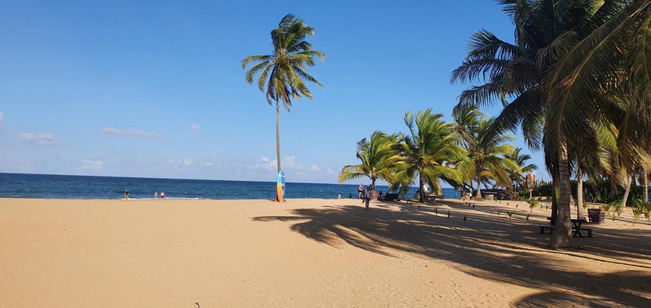 Puntacana Lavacama Costa Arrecife By Aa Crypto Group