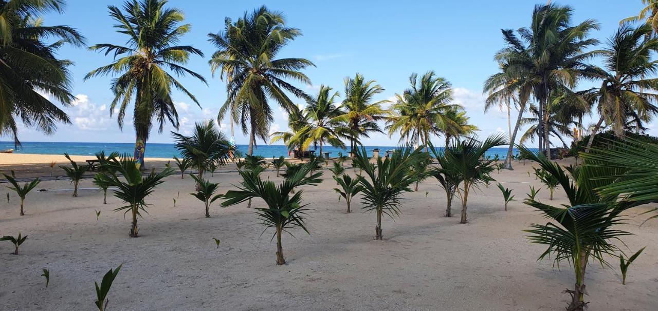 Puntacana Lavacama Costa Arrecife By Aa Crypto Group * Punta Cana