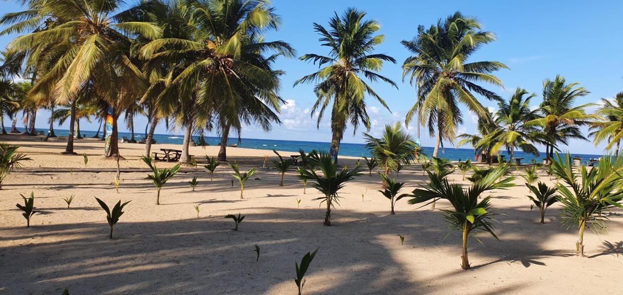 Puntacana Lavacama Costa Arrecife By Aa Crypto Group