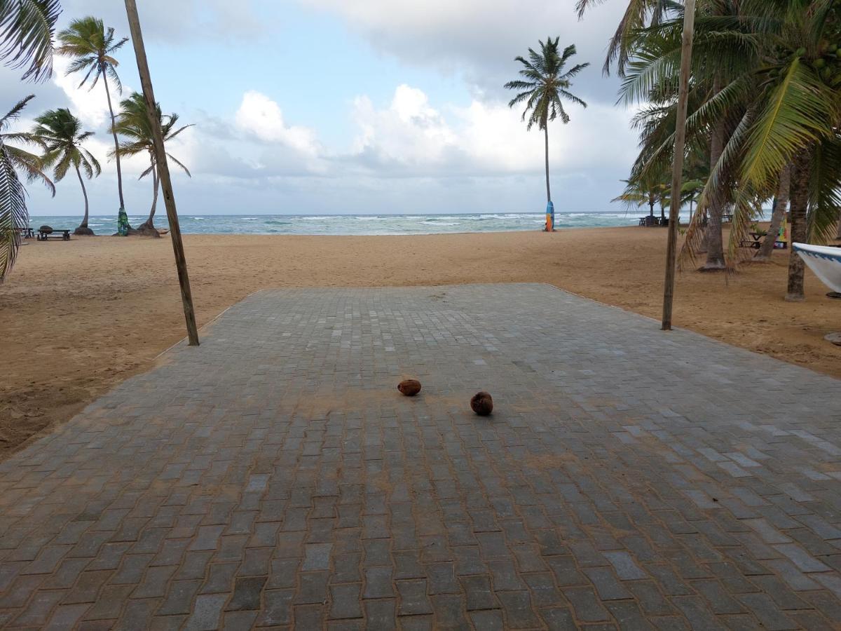 Puntacana Lavacama Costa Arrecife By Aa Crypto Group Punta Cana
