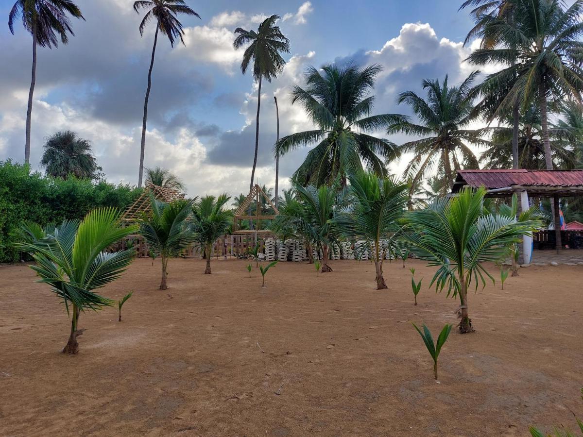 Lodge Puntacana Lavacama Costa Arrecife By Aa Crypto Group Punta Cana