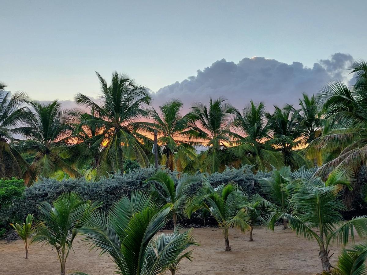 Puntacana Lavacama Costa Arrecife By Aa Crypto Group Punta Cana
