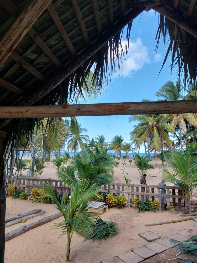 Lodge Puntacana Lavacama Costa Arrecife By Aa Crypto Group Punta Cana