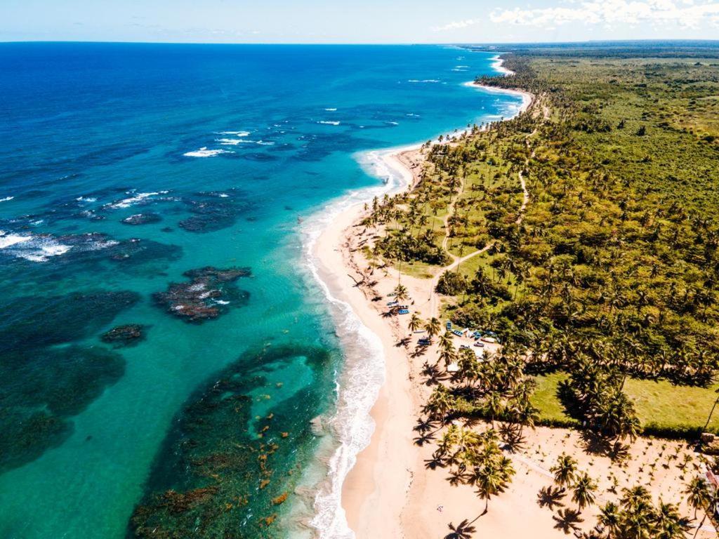 Puntacana Lavacama Costa Arrecife By Aa Crypto Group
