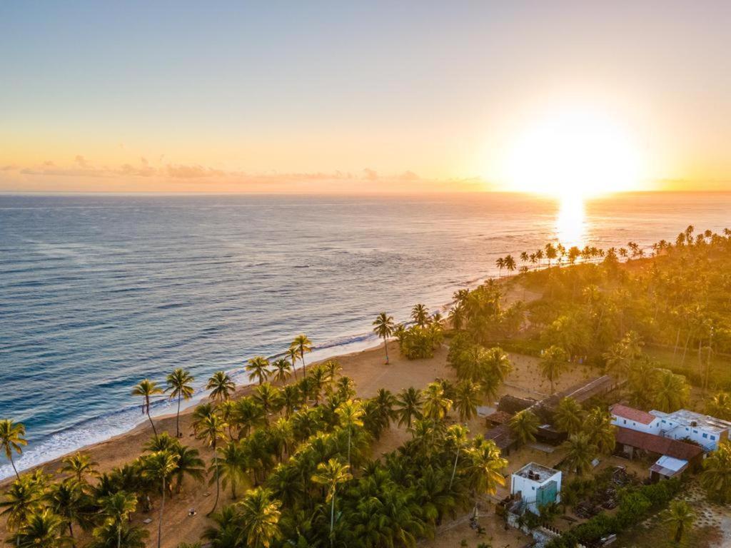 Puntacana Lavacama Costa Arrecife By Aa Crypto Group