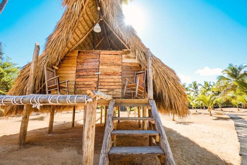 Puntacana Lavacama Costa Arrecife By Aa Crypto Group Lodge