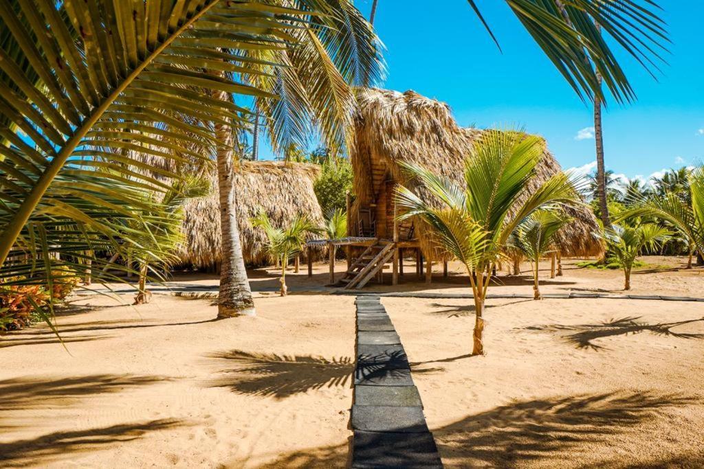 Puntacana Lavacama Costa Arrecife By Aa Crypto Group Lodge