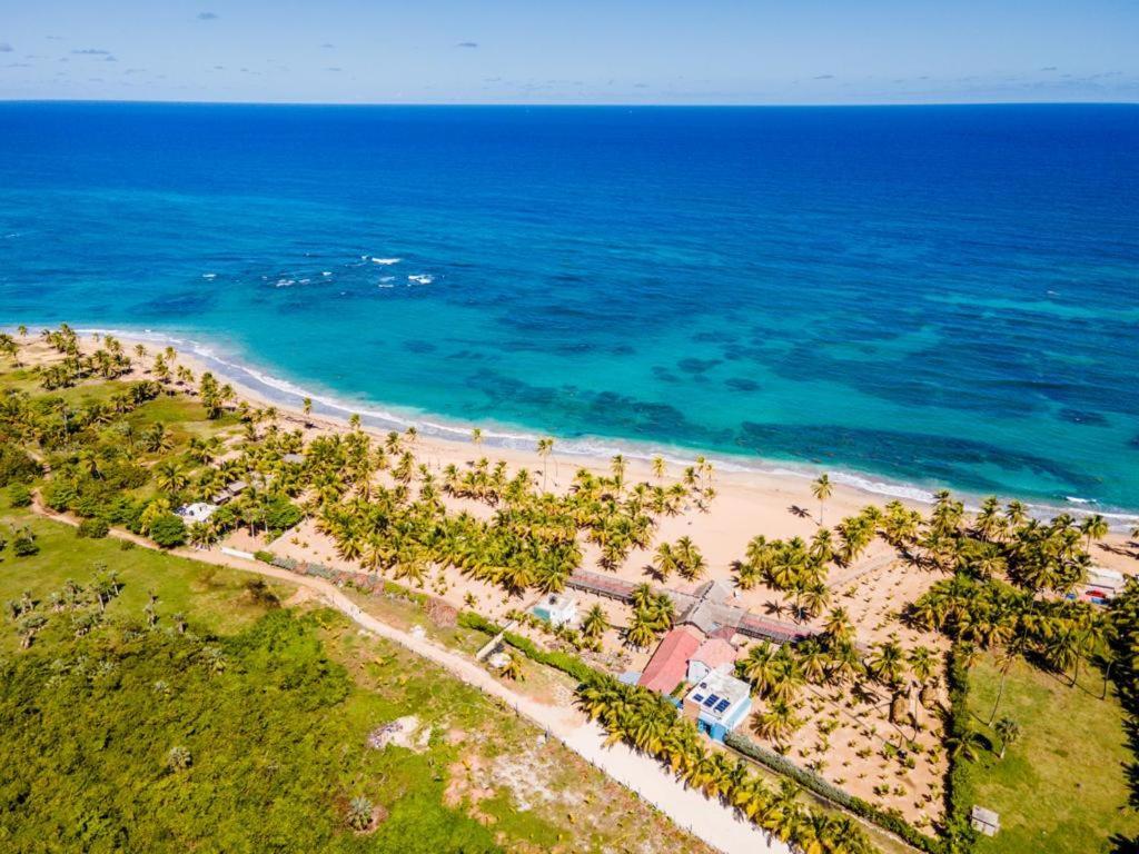 Puntacana Lavacama Costa Arrecife By Aa Crypto Group *